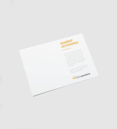 Product image for 'Flyer A4'