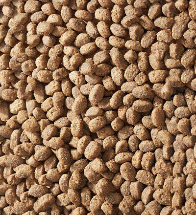 Product image for 'Lamb Pack Mini'