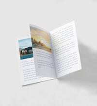 Product image for 'Flyer A4'