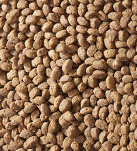 Product image for 'Lamb Pack Mini'